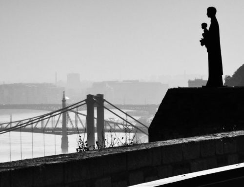 After The Fall, History Continues…