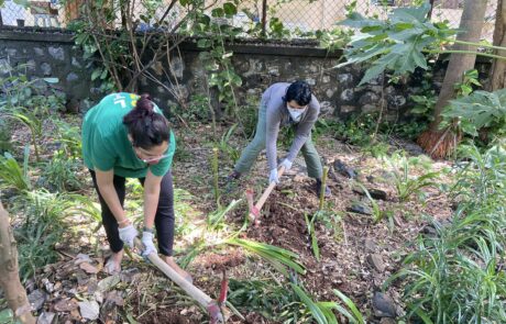 Composting activity at Shantivan