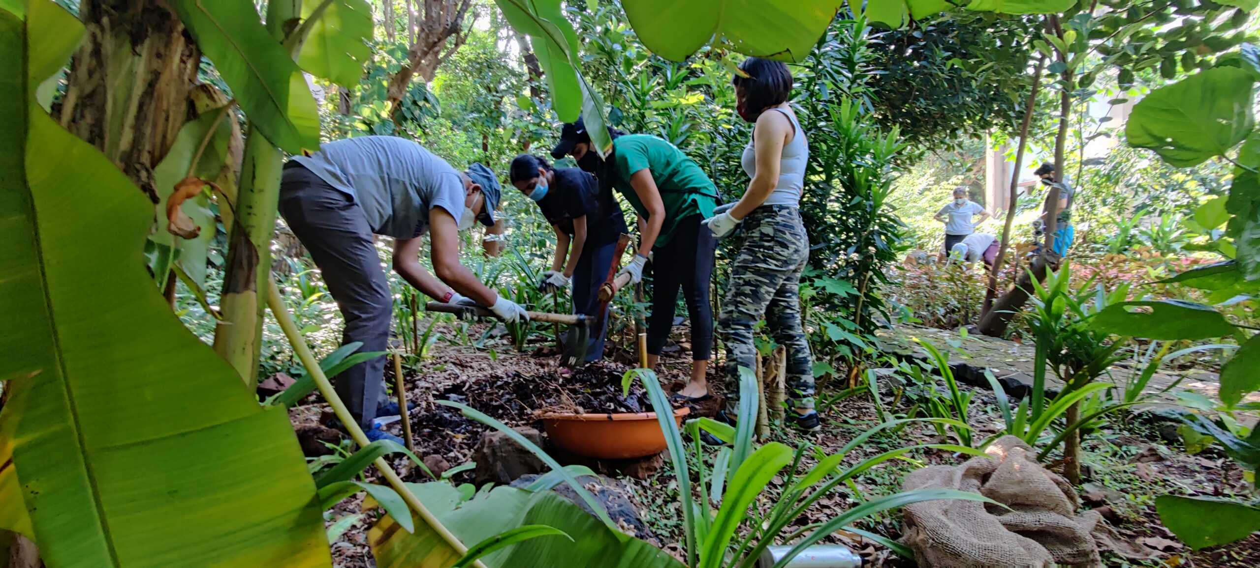 Shantivan Composting Activity