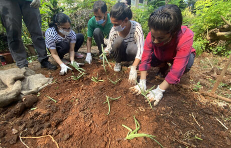 Work with Nature Shantivan