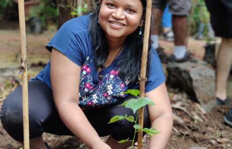 Sapling Plantation 17