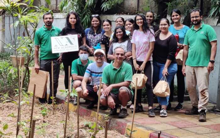 Sapling Plantation 19