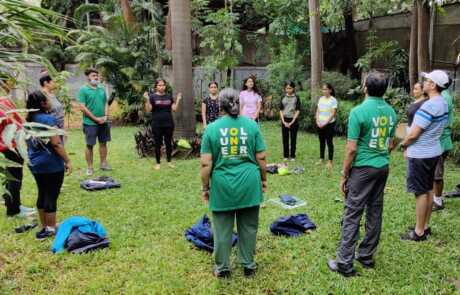 Sapling Plantation 9