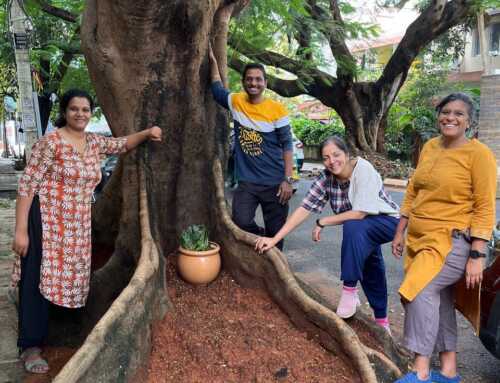 A meaningful Sunday with newacropolis communitree circle