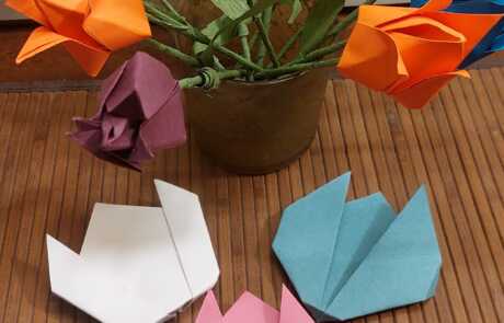 Origami 8