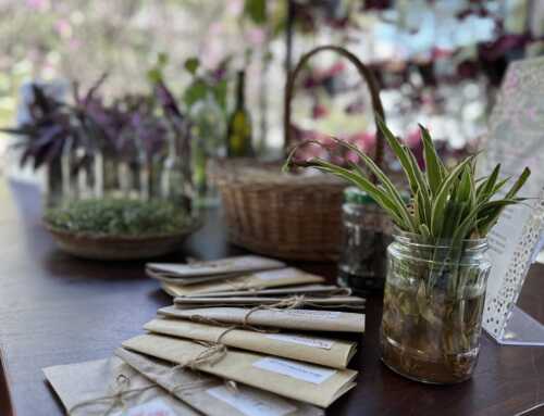 A meaningful Sunday with #newacropoliscommunitreecircle