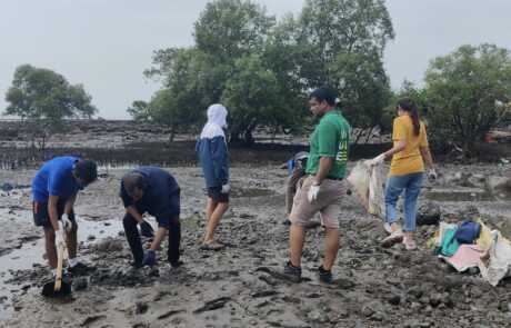 Mangrove planting 2