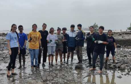mangrove planting 4